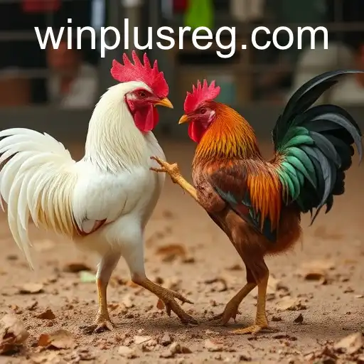 Security and Trust WINPLUS - International Licenses and Certifications